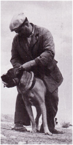 Paolo Breber et cane Corso